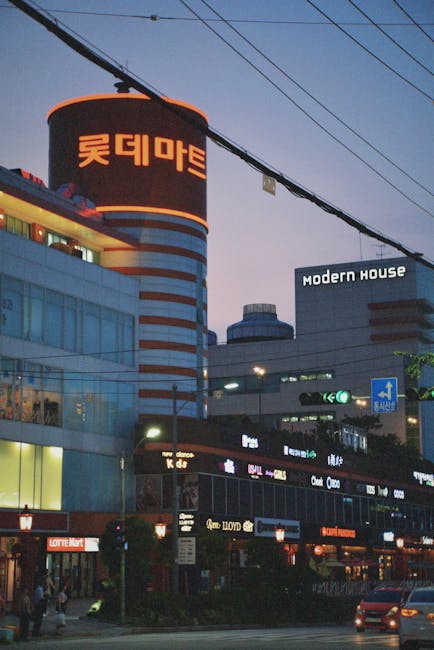 東大門 夜市で楽しむ多彩なグルメとショッピング体験