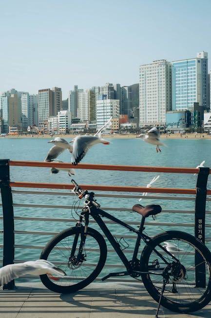漢江散歩道で心地よい風を感じながら、自然と歴史に触れる散策を楽しもう。