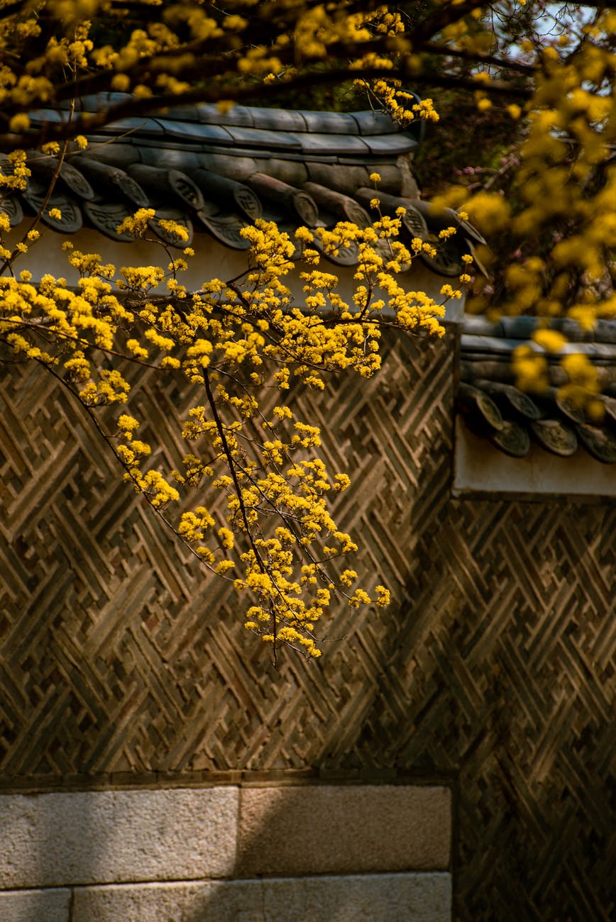 韓国での目つき矯正: 日本人旅行者のためのガイド