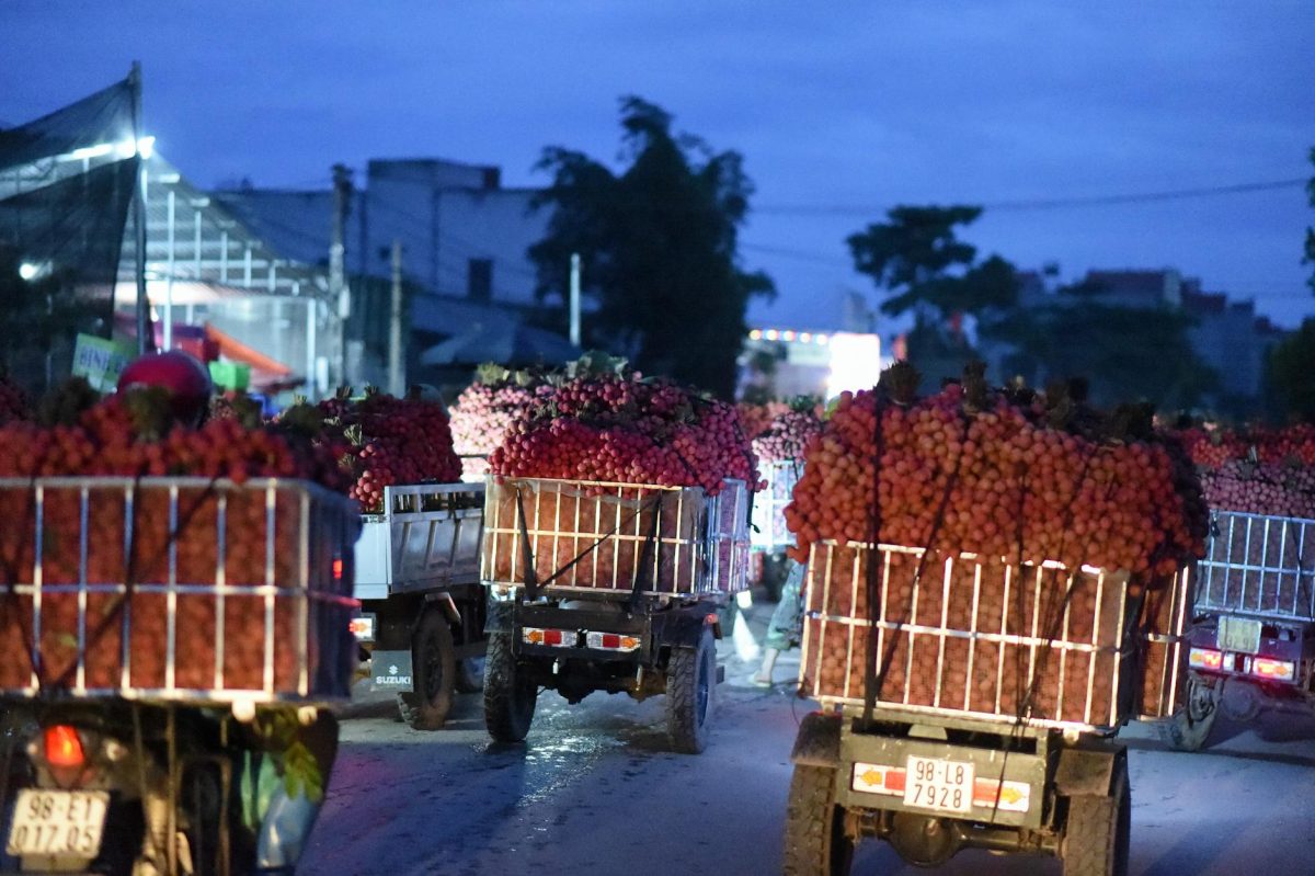 リジュランヒーラーの効果とおすすめクリニック
