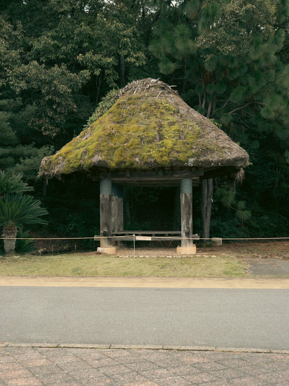 カンナム美容外科ガイド：日本人旅行者のための美容整形情報