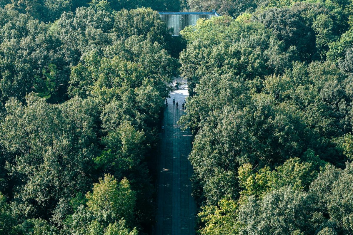 漢南洞のセレクトショップ：トレンドを先取りする場所