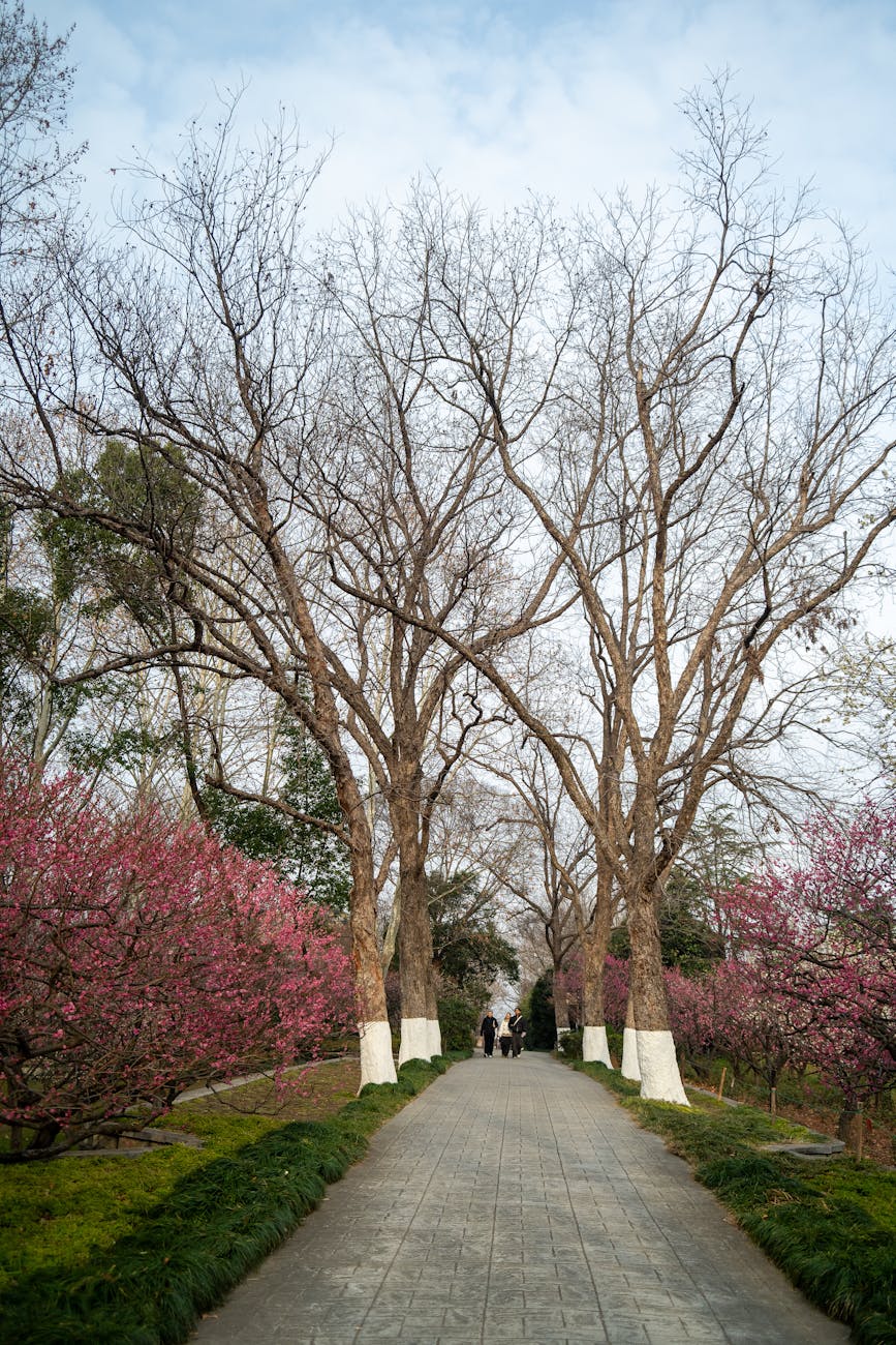 江南カフェ巡りと美容クリニックのご紹介