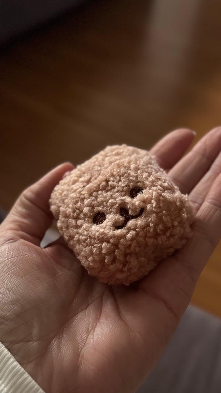 2026年ソウルのダイソー購入品ガイド：おしゃれで便利なアイテムを見逃すな！