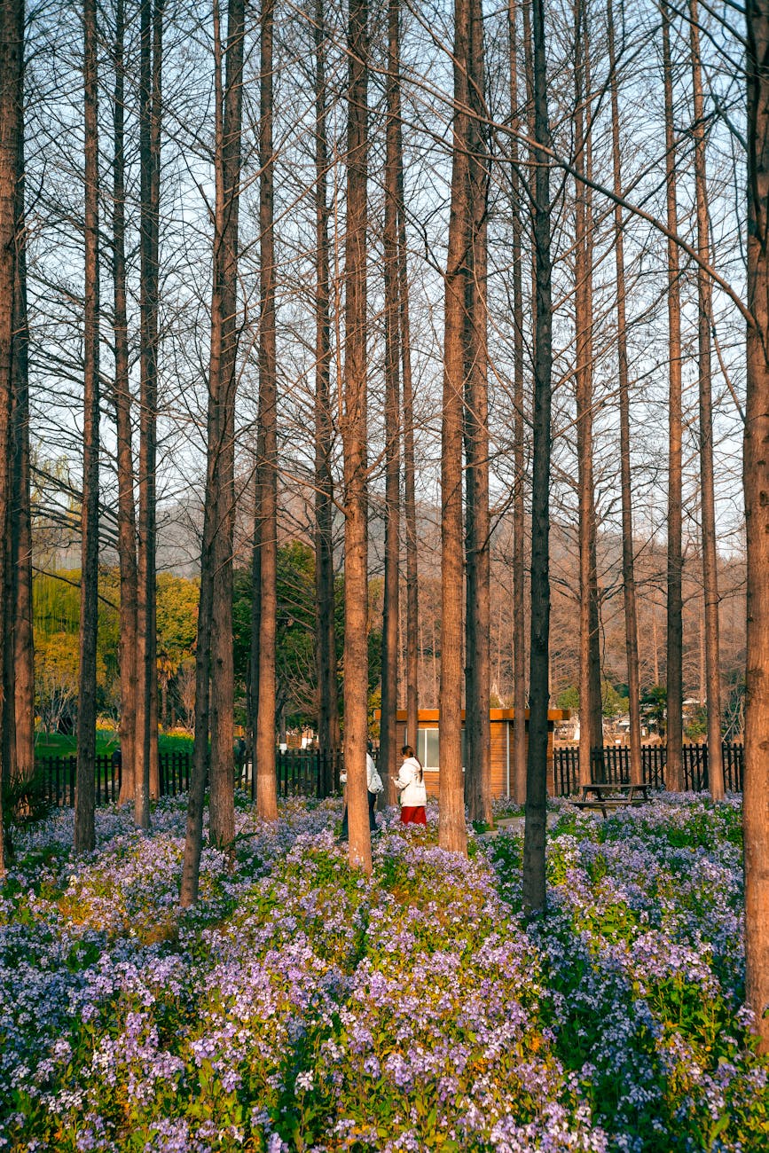 韓国での二重切開: 日本人旅行者のためのガイド